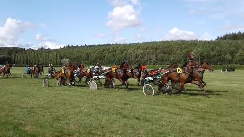 Les pronostics hippiques pour ce samedi 9 septembre